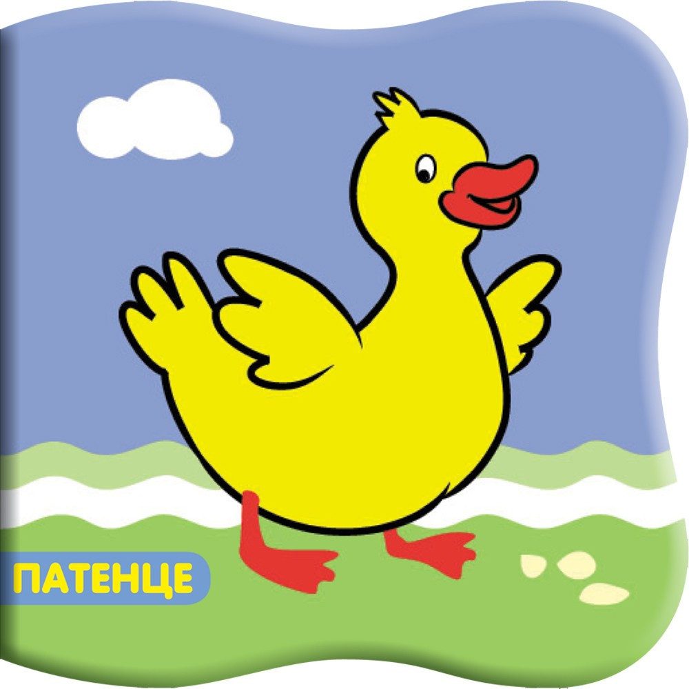 КНИГА ЗА БАНЯ ПАТЕНЦЕ