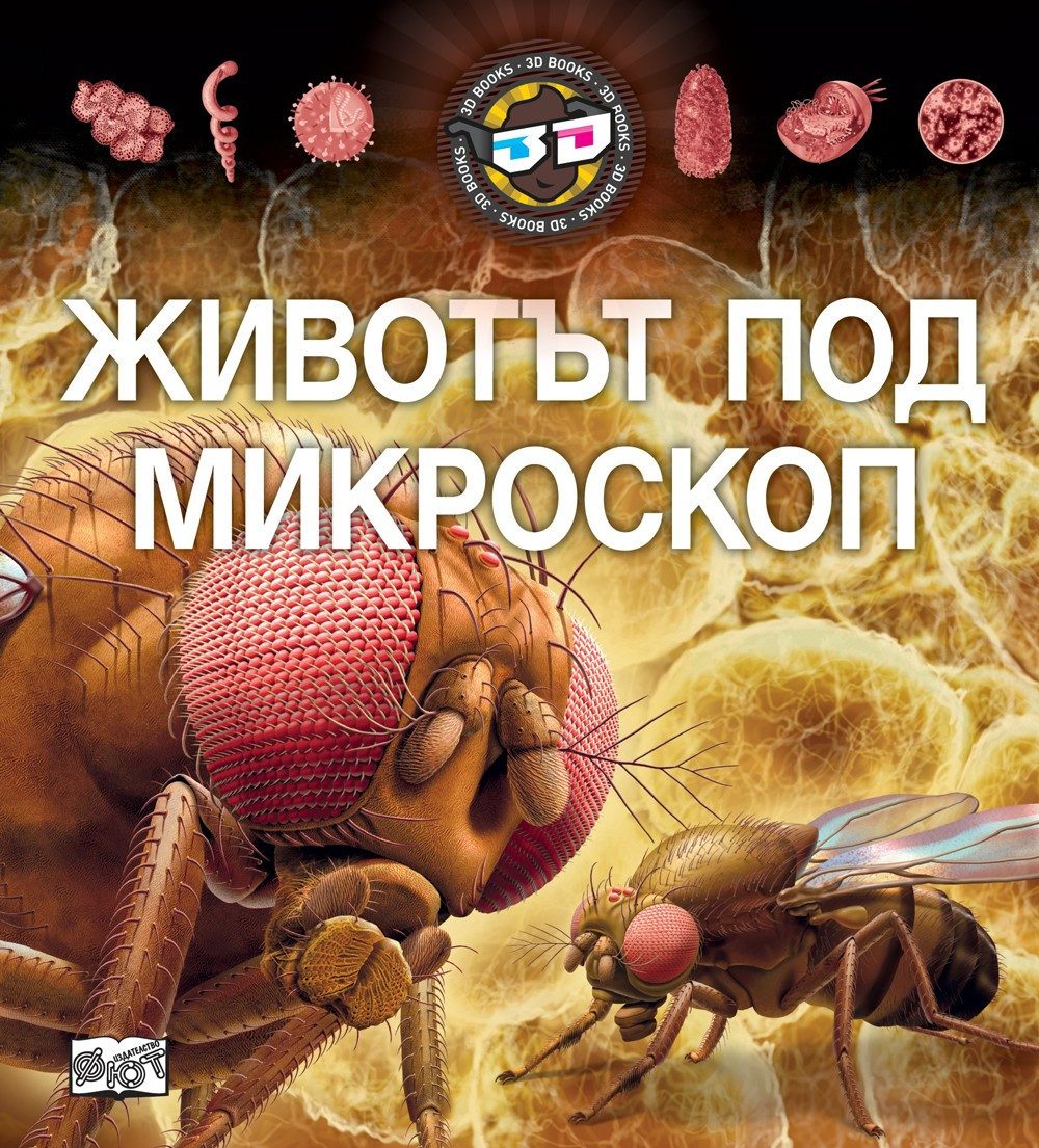 3D ОЧИЛА: ЖИВОТЪТ ПОД МИКРОСКОП
