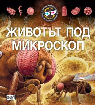 3D ОЧИЛА: ЖИВОТЪТ ПОД МИКРОСКОП
