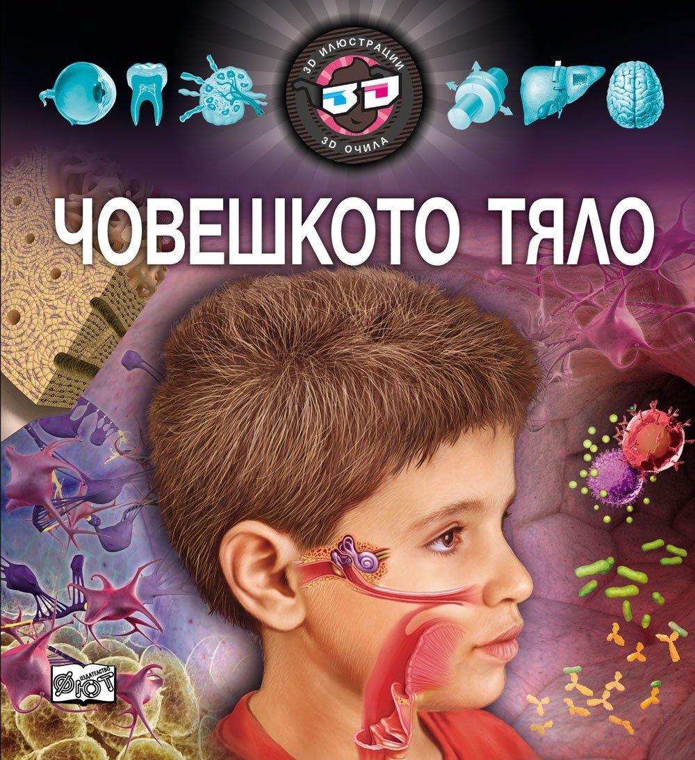3D ОЧИЛА: ЧОВЕШКОТО ТЯЛО