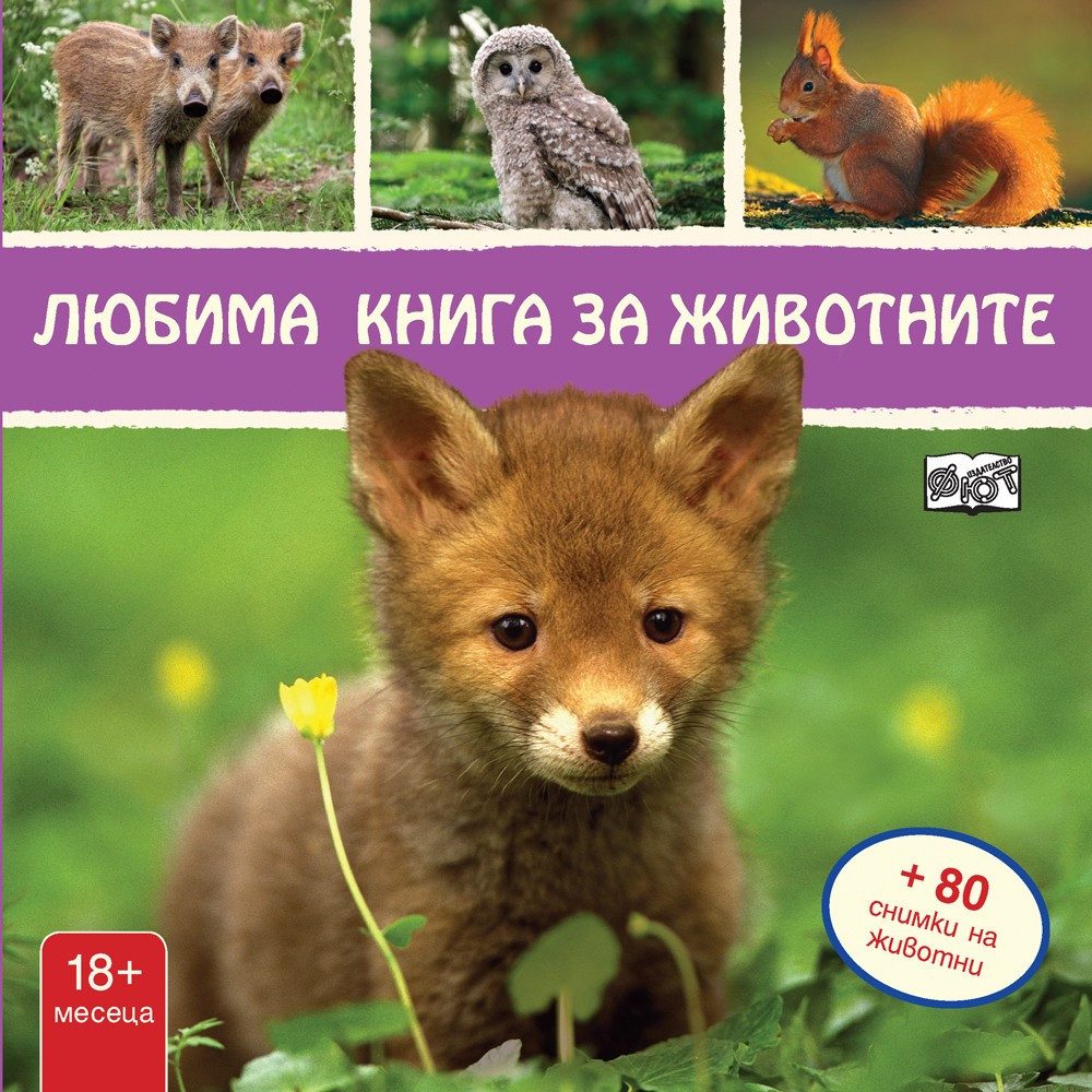 ЛЮБИМА КНИГА ЗА ЖИВОТНИТЕ - ЛИСИЧЕ