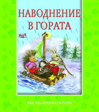 НАВОДНЕНИЕ В ГОРАТА