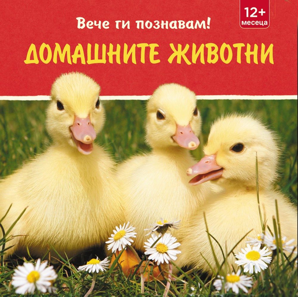 ВЕЧЕ ГИ ПОЗНАВАМ! ДОМАШНИТЕ ЖИВОТНИ