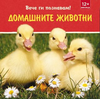 ВЕЧЕ ГИ ПОЗНАВАМ! ДОМАШНИТЕ ЖИВОТНИ
