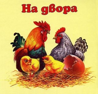 На двора