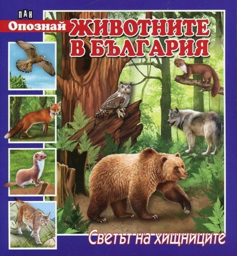 Опознай животните в България. Светът на хищниците