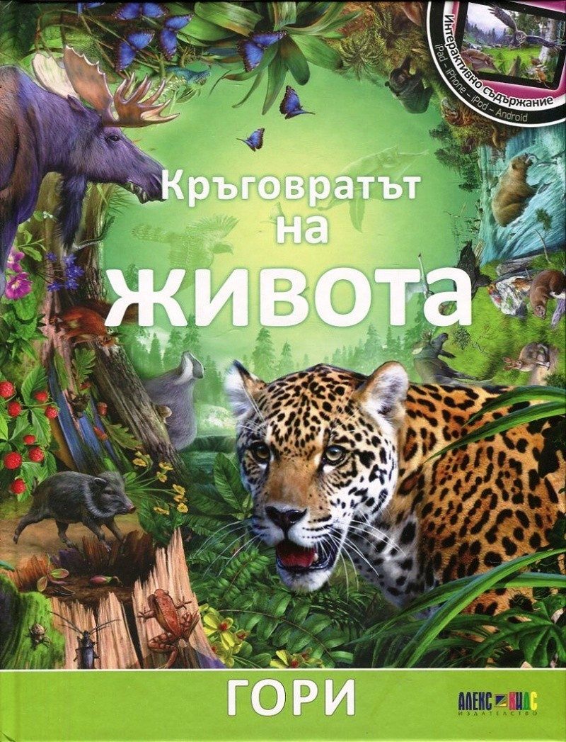 Кръговратът на живота: Гори