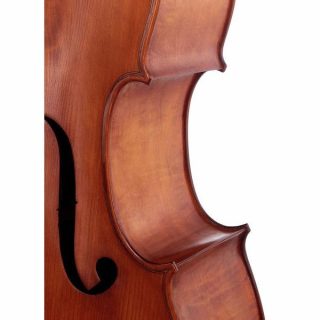 Контрбас Gewa Premium Line Laminated Bass