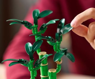 LEGO® Icons 10344 - Бамбук за късмет