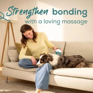 Масажор Beurer PP 410 Buddy Massager Gentle kneading massage