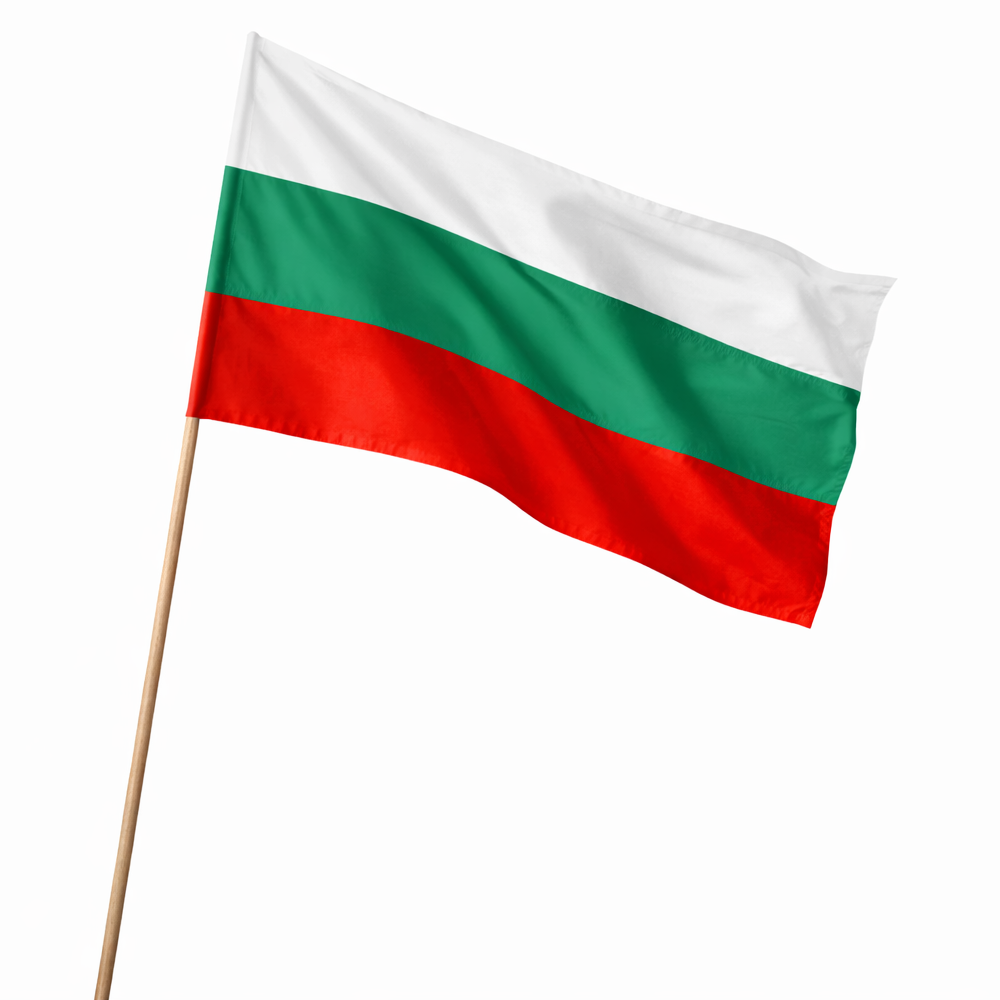 Знаме България 24/40 см. с дървена дръжка