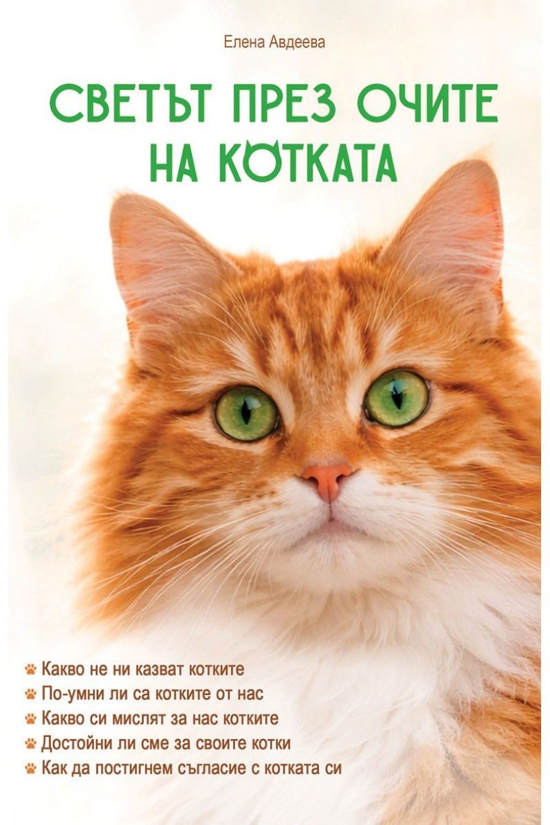 Светът през очите на котката