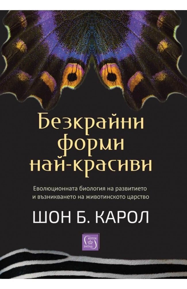 Безкрайни форми най-красиви