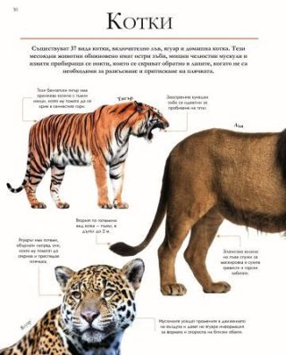 За най-любознателните - Животните
