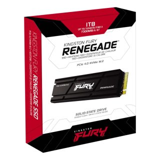 Kingston FURY Renegade 1TB Gen 4 Heatsink
