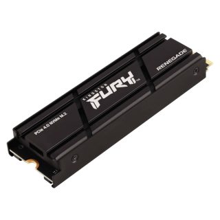 Kingston FURY Renegade 1TB Gen 4 Heatsink