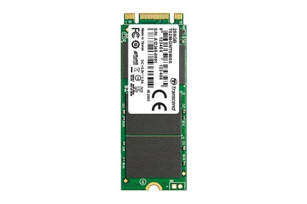 Transcend 256GB M.2 2260 SSD, SATA3 B+M Key, MLC