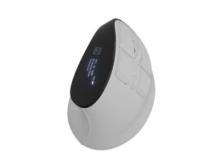 Natec Euphonie Vertical Mouse PRO Wireless BT 5.0, 4000DPI Silent, Programmable, White