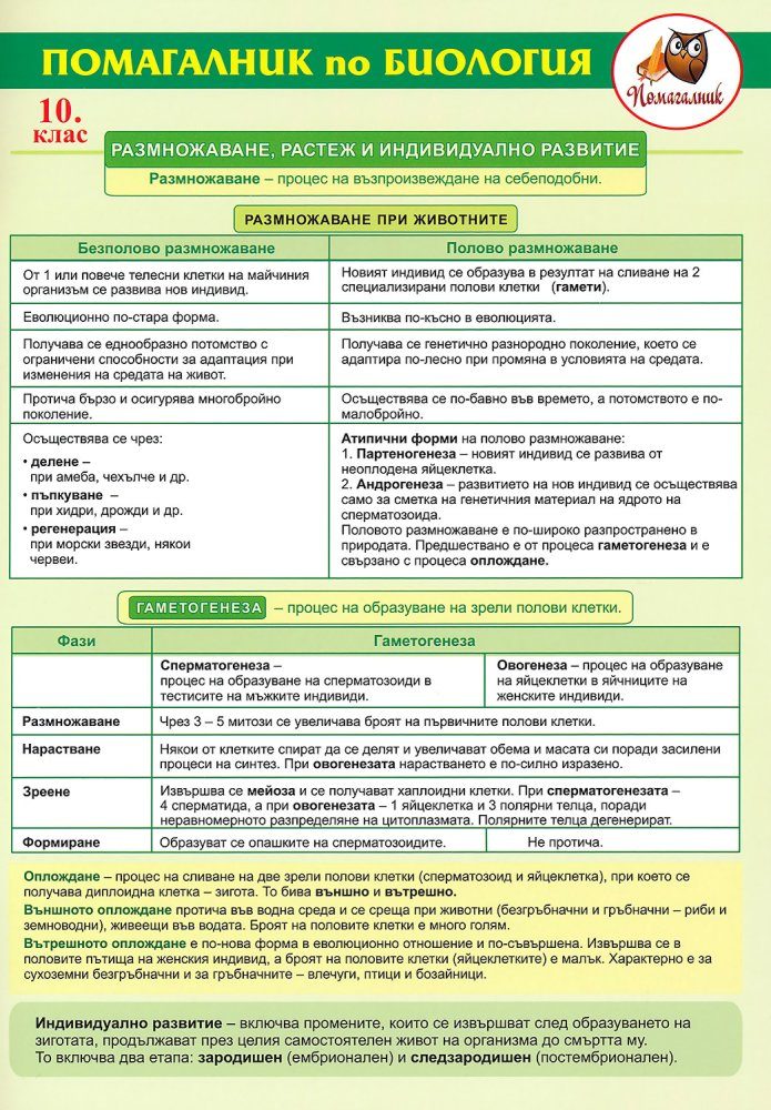 Помагалник по биология за 10. клас - Домино
