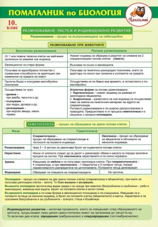 Помагалник по биология за 10. клас - Домино