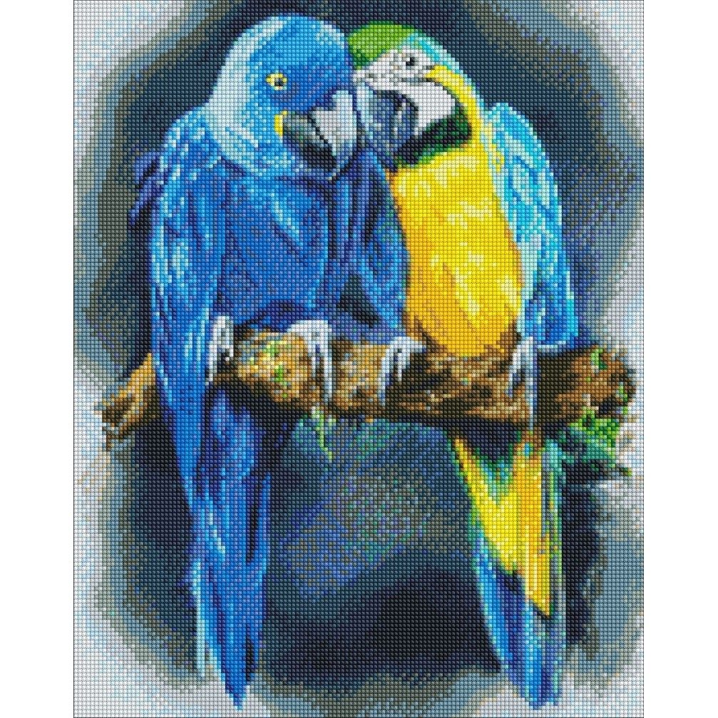 Диамантена мозайка IDEYKA, с подрамка, WE ARE GOOD TOGETHER/Папагали, 40х50 см