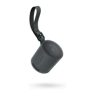 Sony SRS-XB100 Преносим Bluetooth високоговорител, черен