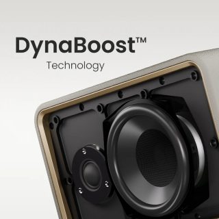 HiFuture Passion X Latte, 100W изходна мощност (макс.), вграден мощен DSP с DynaBoost технология, дървен корпус, Wireless 5.4, двулентова пълночестотна говорителна система, вградена 8000mAh високоефективна батерийна система, сдвояване за стерео звук (TWS режим)