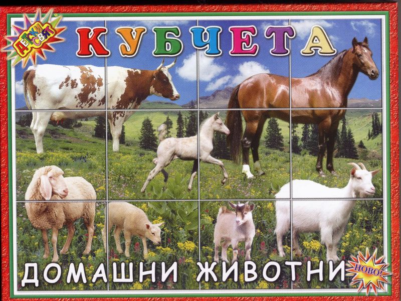 Кубчета с Домашни животни ПВЦ Детски свят !!!
