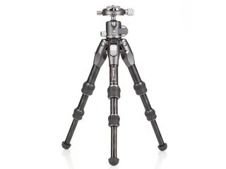 Статив Benro Tortoise TTOR03CGX25 - карбонов в комплект с глава